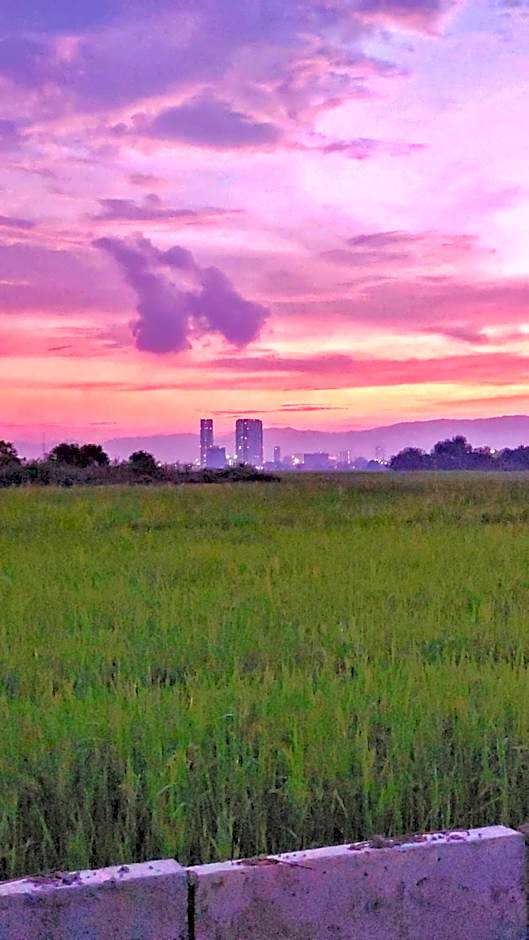 Paddy Villea Inn SPT Penang