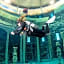 Friendly Cityhotel Oktopus