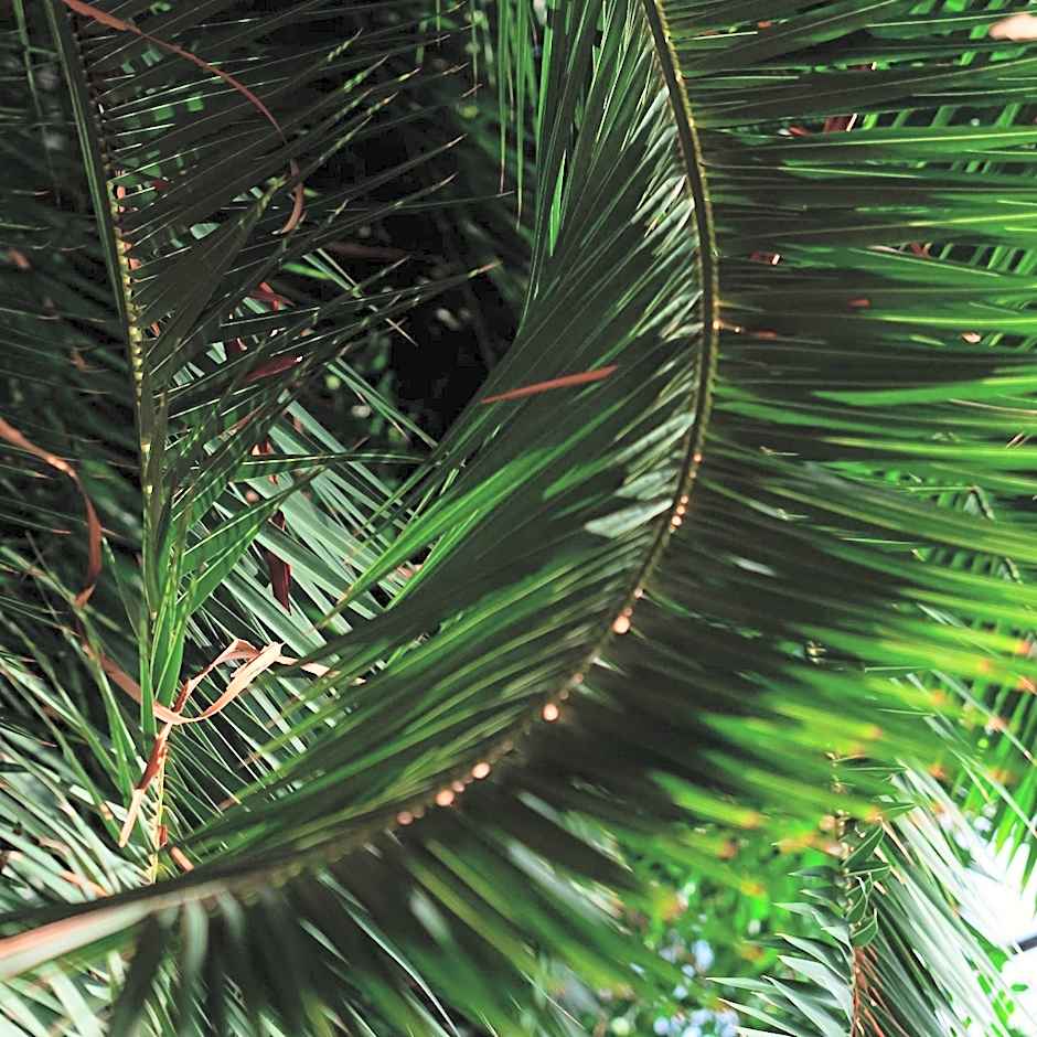 EVENTHOTEL PYRAMIDE & CONGRESS CENTER