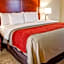 Comfort Inn Bessemer Birmingham South