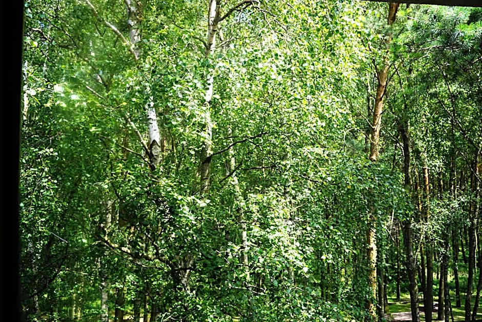 Laguna Kompleks Wypoczynkowo Rekreacyjny