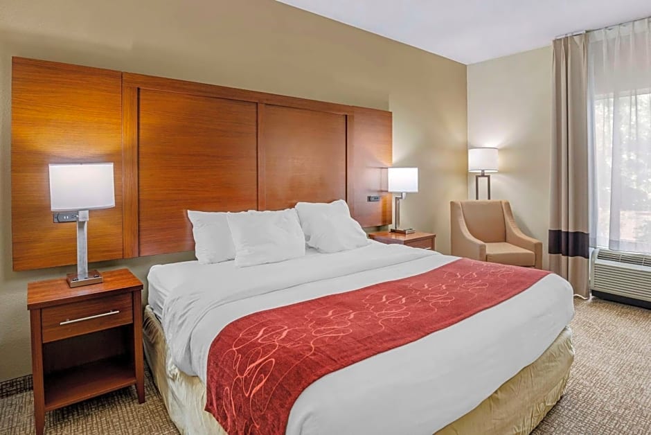Comfort Suites At Virginia Center Commons