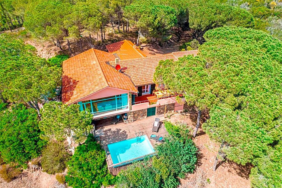 Tenuta Delle Ripalte