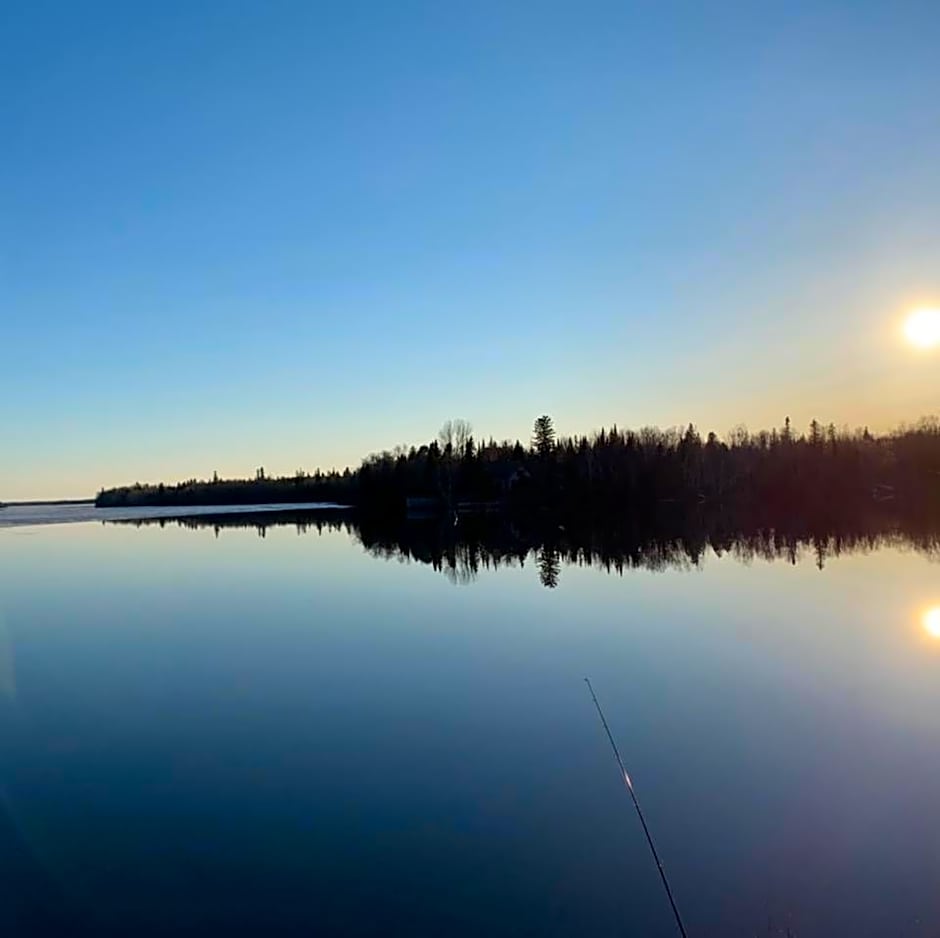 Entre Lemoine et l'arbre