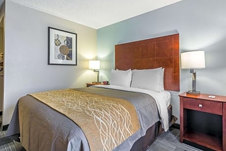 Queen Room - Disability Access/Non-Smoking