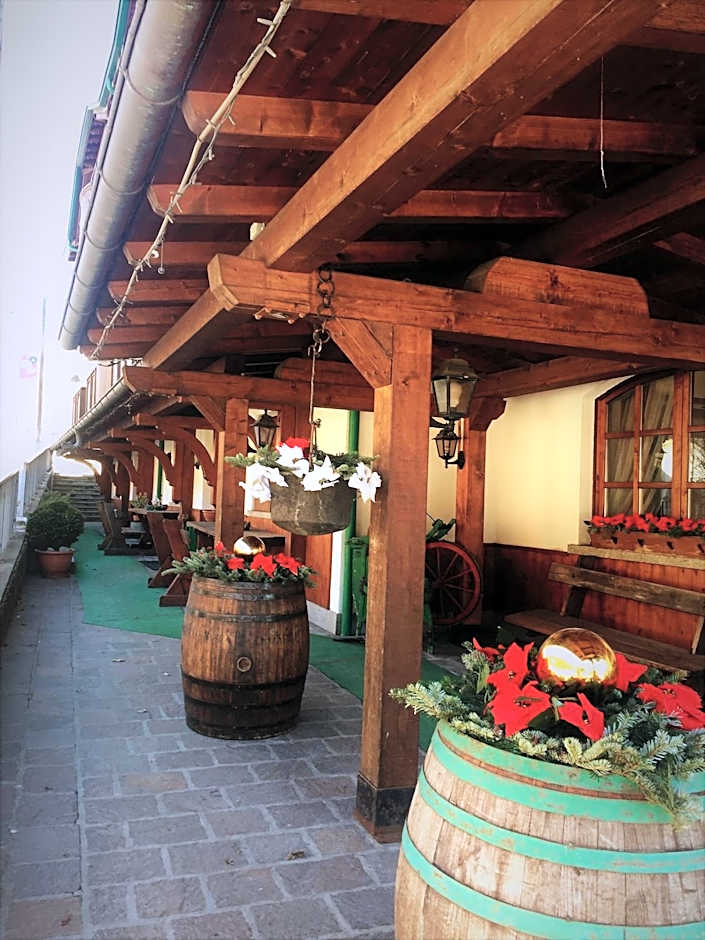 Hotel Tosa