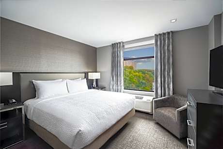 Partial City View, 1 Bedroom Larger Suite, 1 King, Sofa bed
