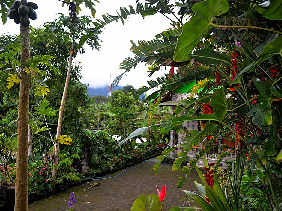 Dajan Buyan Homestay