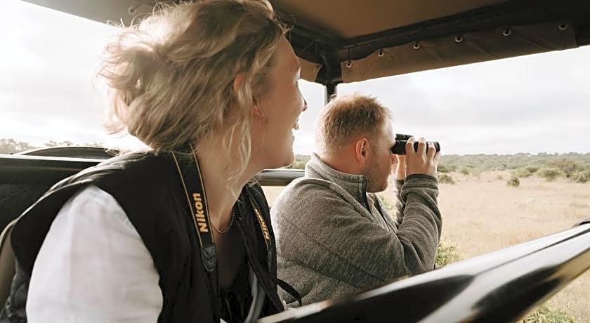 Bukela Game Lodge - Amakhala Game Reserve