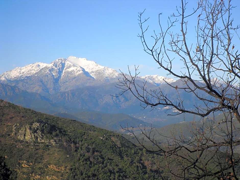 Chambre d'Hôtes La Marlotte