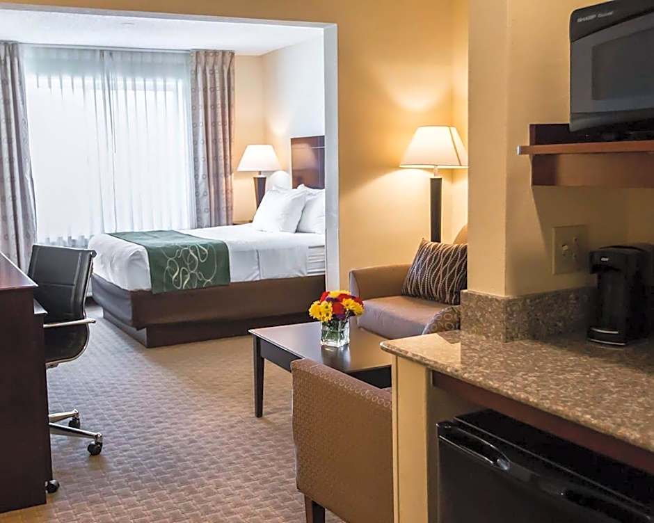 Comfort Suites University Area Notre Dame-South Bend