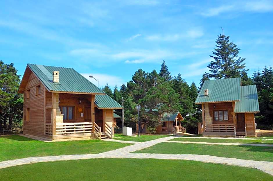 Uludag Orman Koskleri