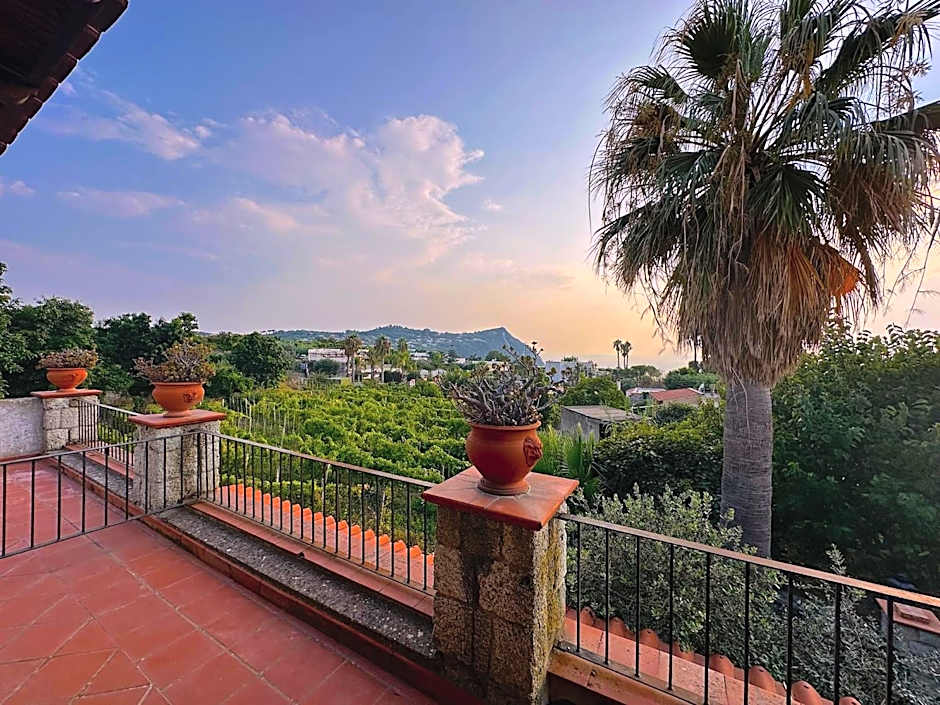 Il Vitigno di Dioniso