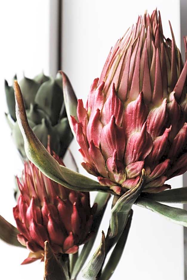 Chambres d'hôtes Une autre maison