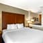Comfort Inn & Suites Gap Amish Country