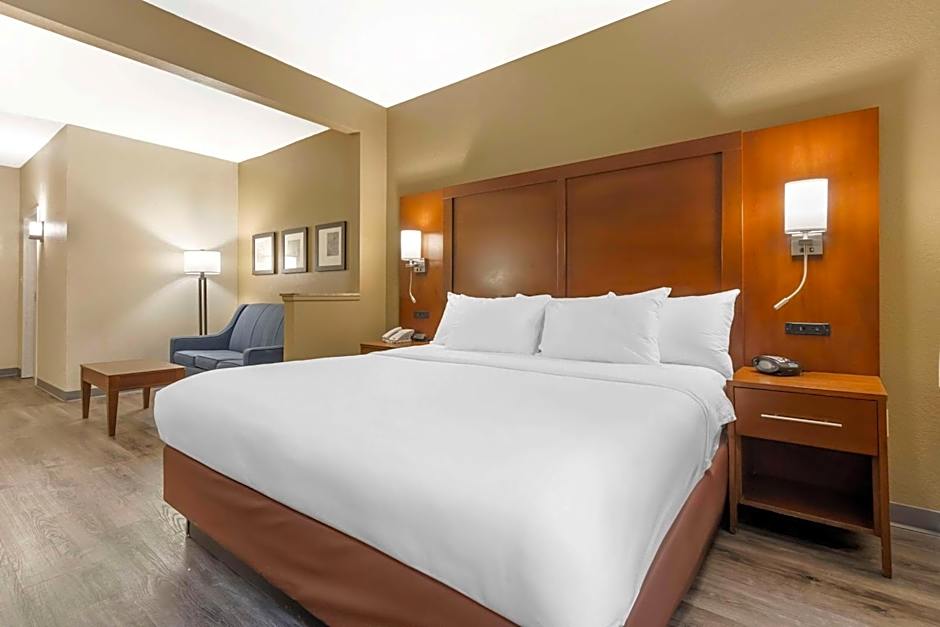 Comfort Suites At The University