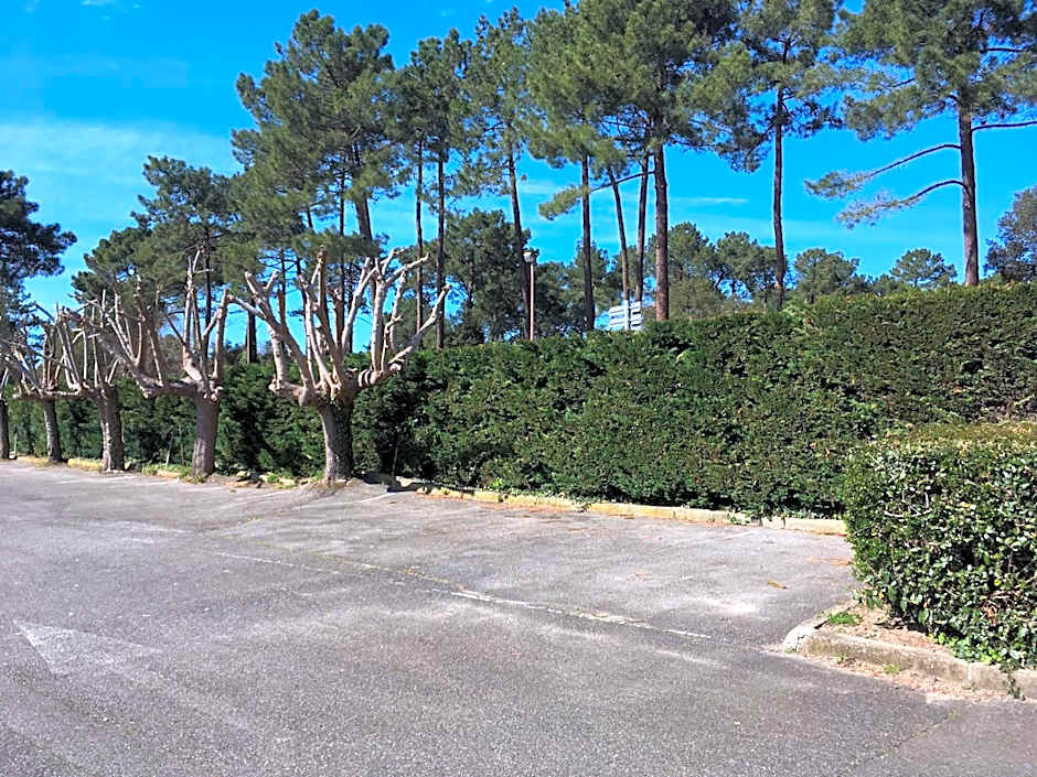 Résidence Mes Amours d'Enfants - Les Villas du Lac