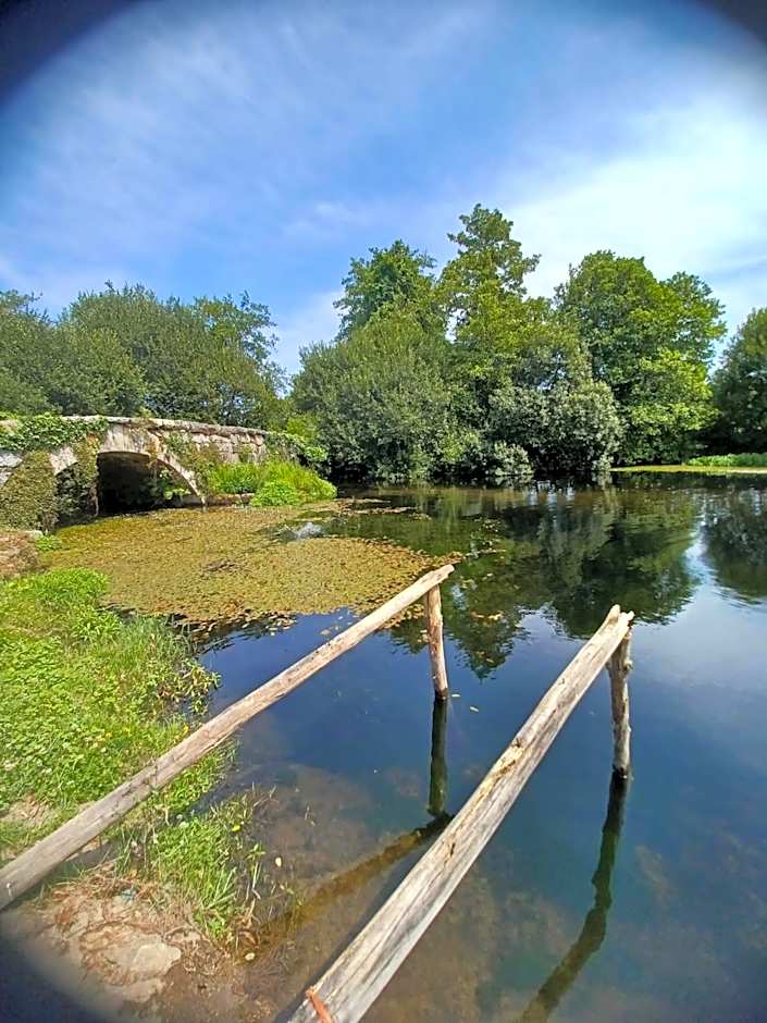 Leonchic - Guest House com Piscina de Água Salgada
