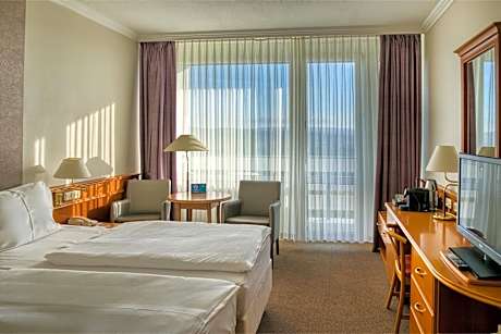 Superior Double Room with Park View and with Wellness and Fitness Access