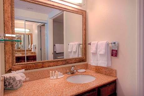 Studio, 1 King Bed with Sofa bed (Hearing Accessible) (1 King Bed and 1 Double Sofa Bed)