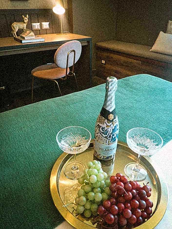 Hotel Eco Boutique Bidasoa