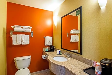 1 King Bed, Suite, Nonsmoking