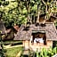 Roots Tree House