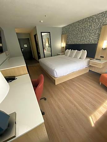 Pet Friendly King Room with Walk-In Shower - Non-Smoking