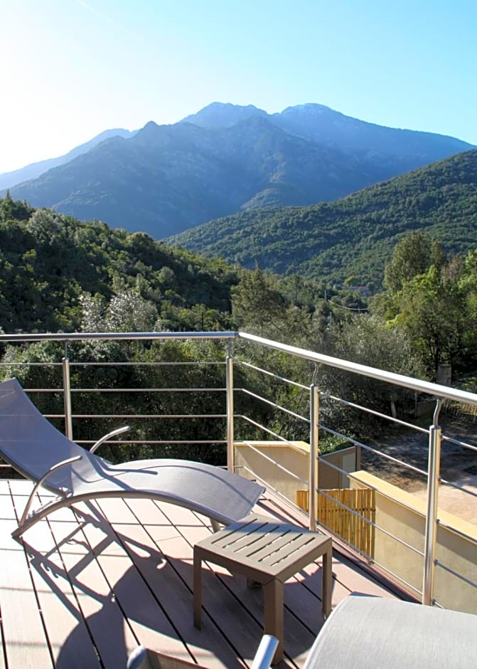 L'oliveraie du Fango