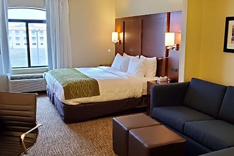 Comfort Inn & Suites Decatur-Forsyth