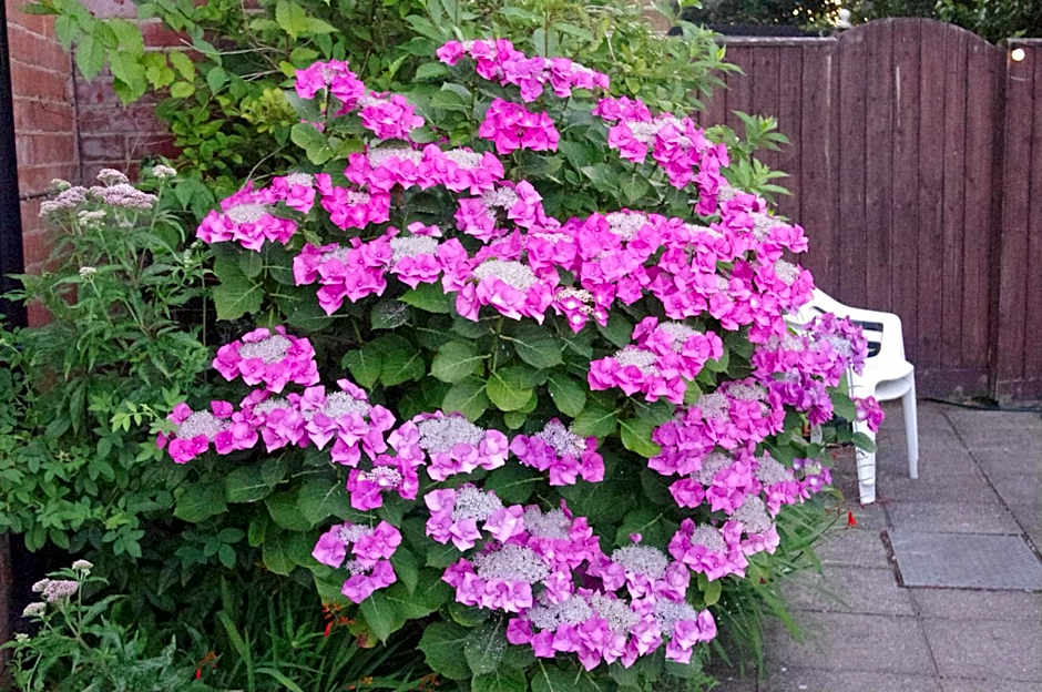 Eastmount Hall Hotel