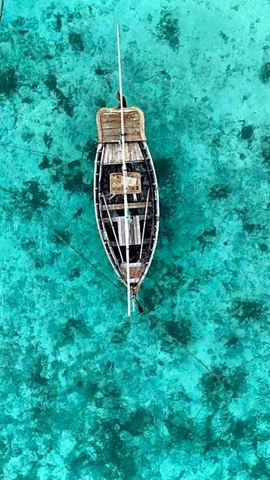 Turtle Maldives - Your Gateway to the Beach & Marine Adventures Await!