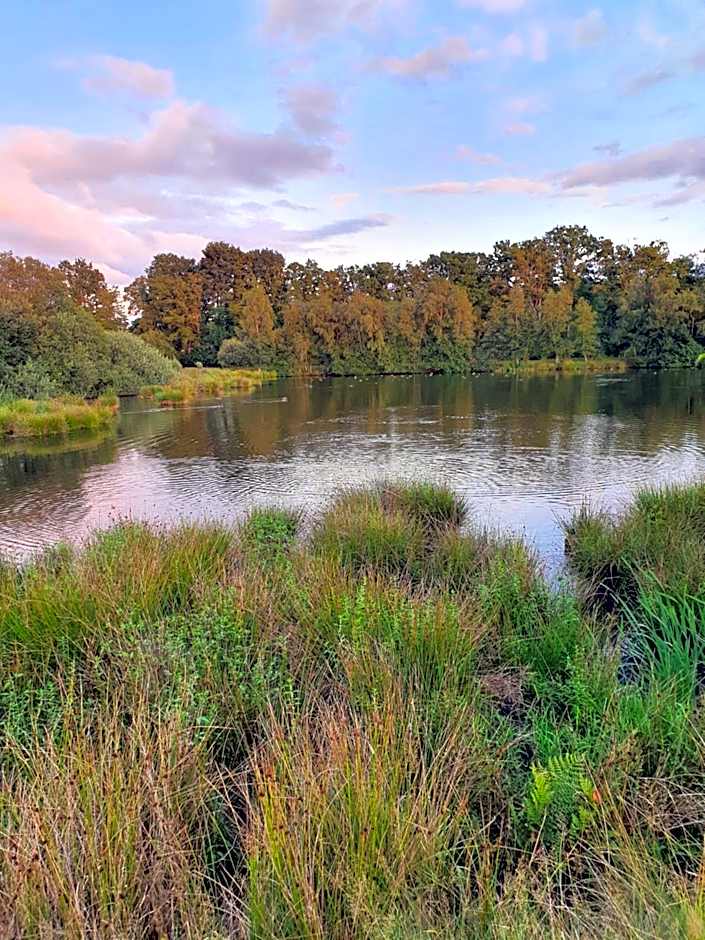 B&B De Konik Bourtange