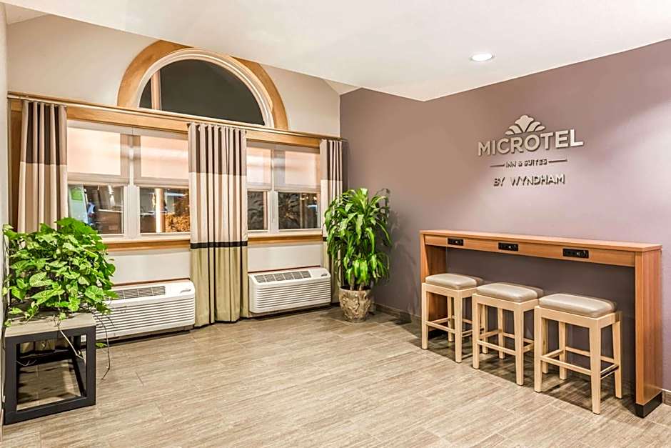 Microtel Inn & Suites by Wyndham Victor/Rochester