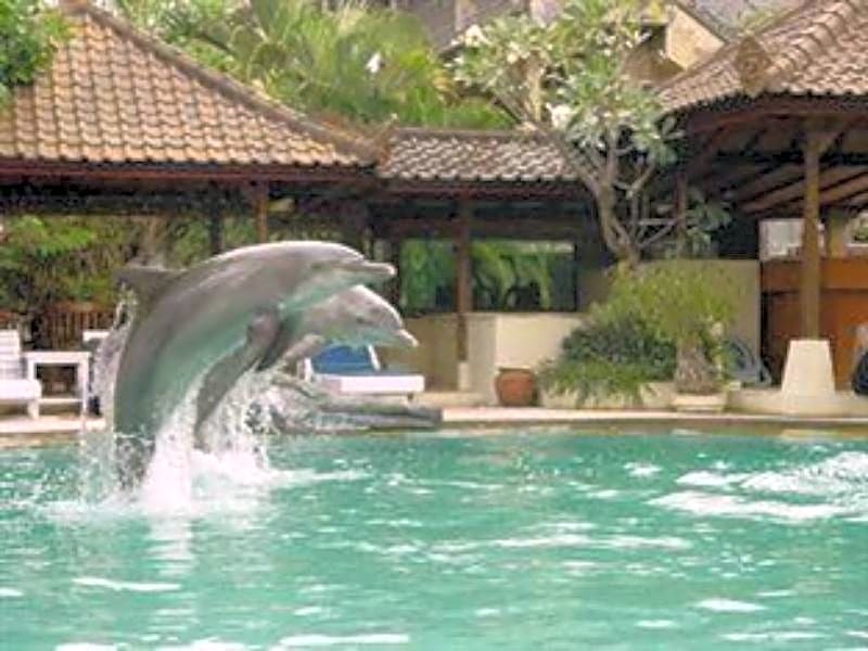 Dolphin Hotel Bali