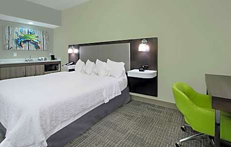 1 King Bed Studio Suite W/ Kitchen Nonsmoking