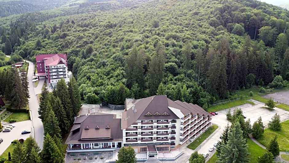 Hotel Bradul - Covasna