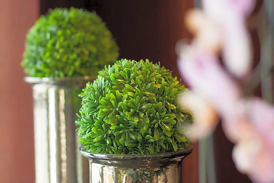 Xavin Wellness Hotel & Restaurant