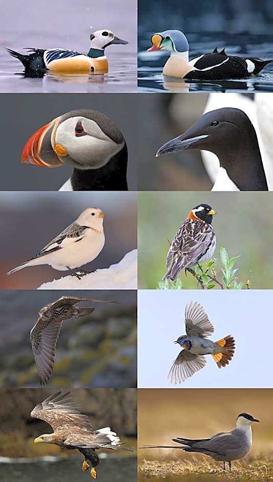Vardø Hotel by Destination Vardø