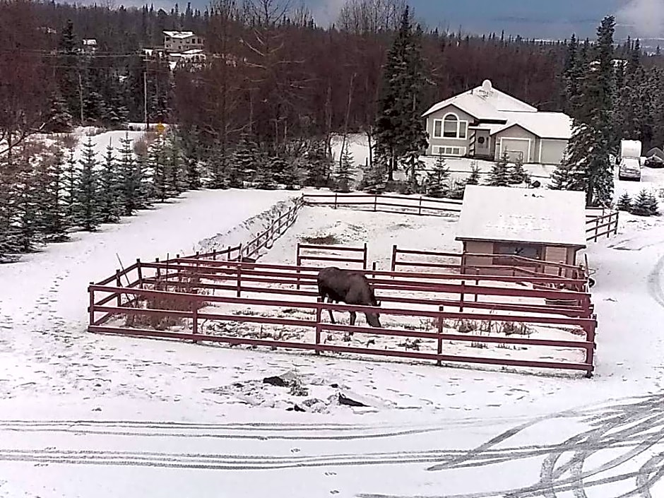 Alaska Sundance Retreat B&B