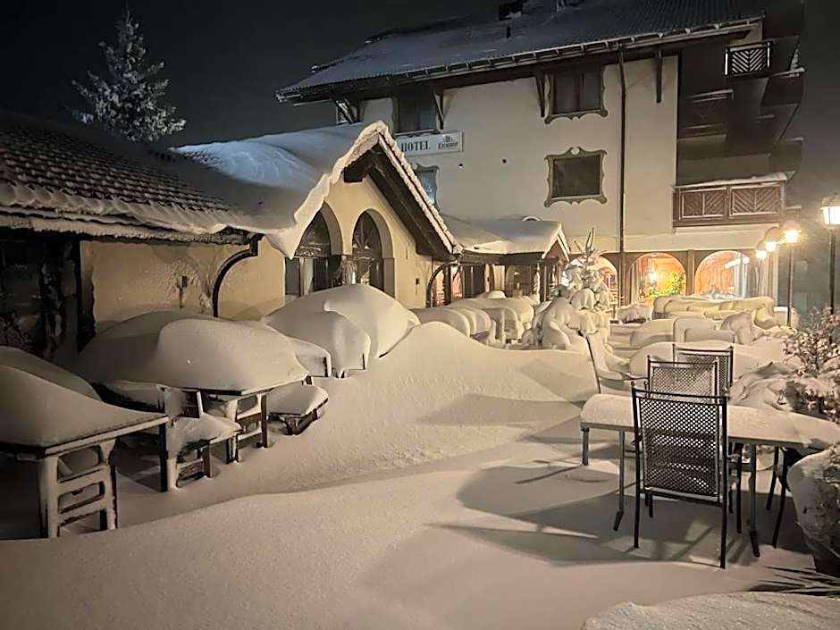 Hotel und Naturhaus Bellevue