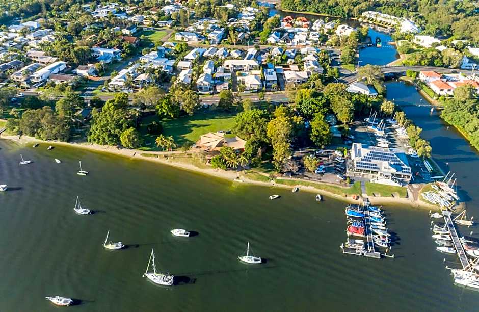 Noosa River Palms