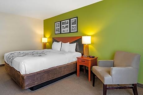 King Room with Roll-In Shower - Accessible/Non-Smoking
