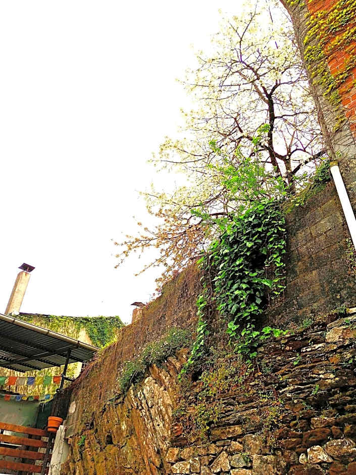 Albergue San Lázaro