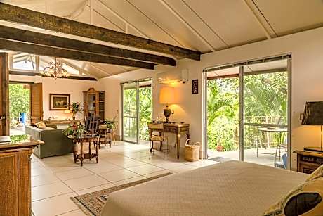 Deluxe Suite with Spa Bath