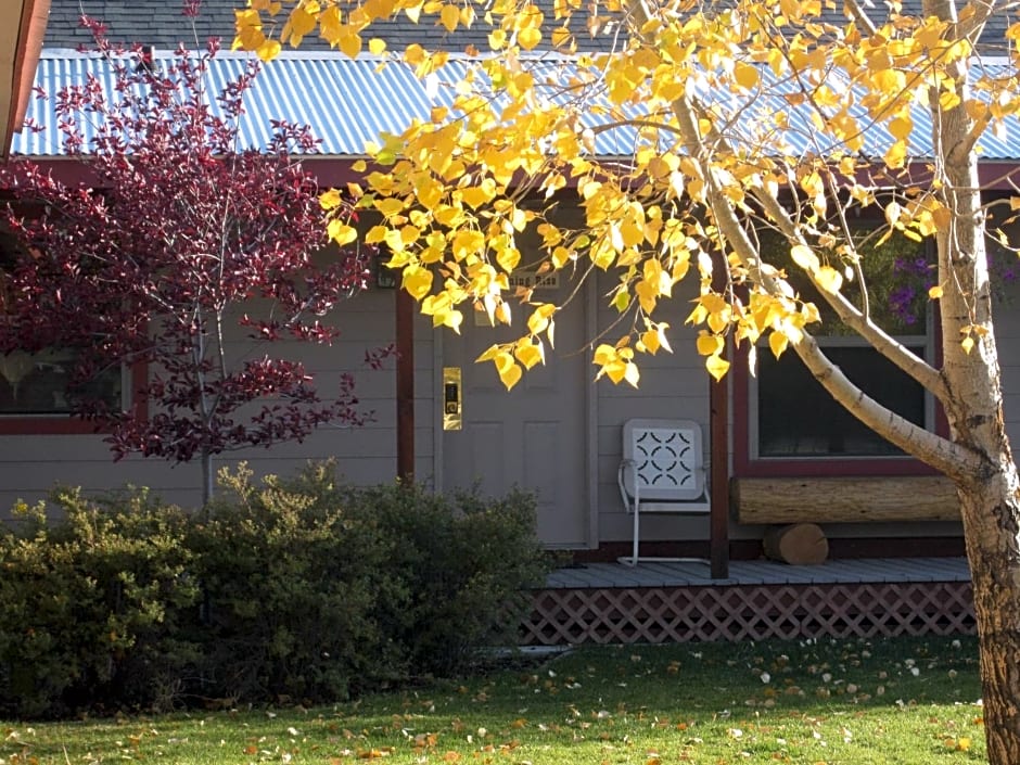 Pinedale Cozy Cabins