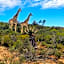 Garden Route Safari Camp