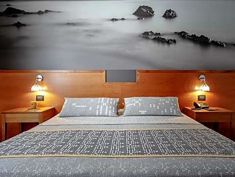 Business Double Room with Gym Access