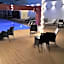 Carnelian Muscat - Airport Hotel