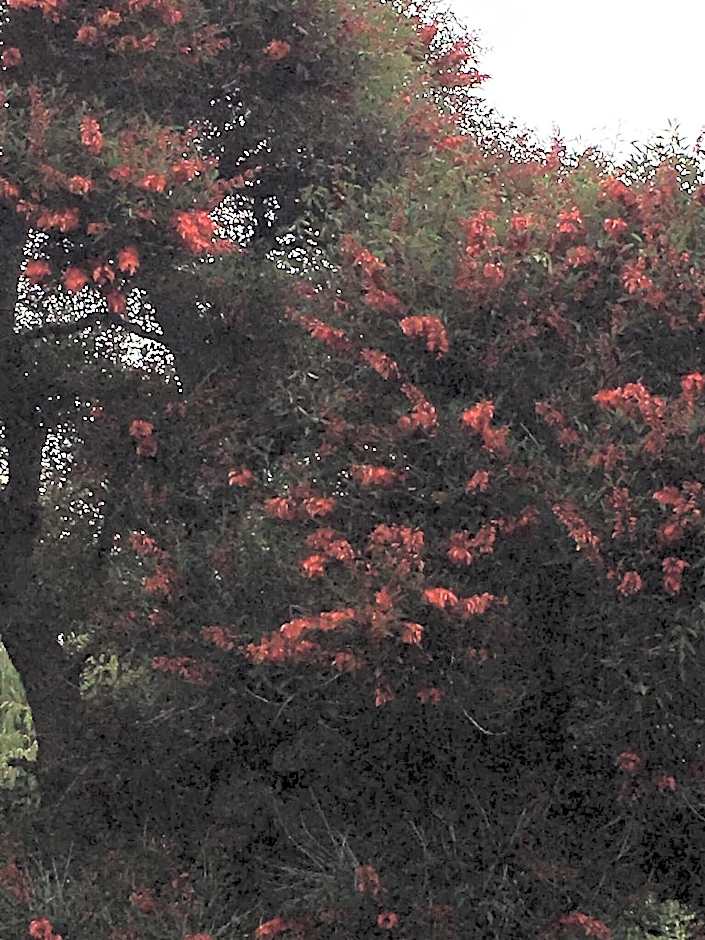 Seaport Village Holiday Accommodation